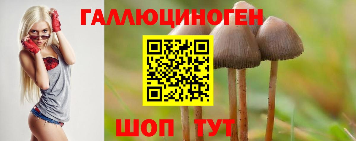Псилоцибиновые грибы мицелий Алапаевск